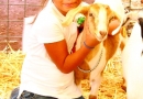4-H Expo 2013