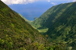 Waikolu Valley from the overlook on Maunahui Road; Maunahui Forest Reserve, Molokai, Hawaii.