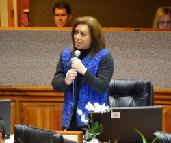 Rep. Carroll Speaks Out Against Wind Turbines and Cables