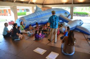 A Visit from the Whales