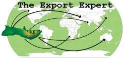 ExportGraphic