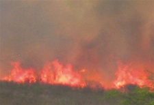 Bracing for Summer Fire Season