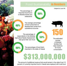 Feeding Molokai Sustainably