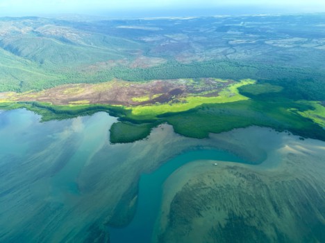 Researchers Study Potential Toxins in Reef from Lahaina Fires