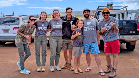 Keep’m Wild — Rescued Seal Pup Returns to Molokai