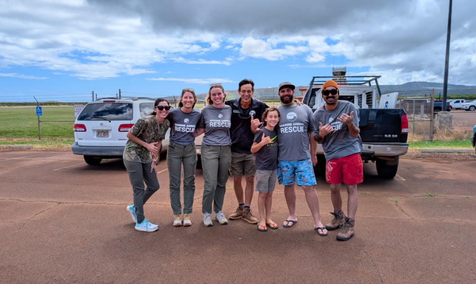 Keep’m Wild — Rescued Seal Pup Returns to Molokai