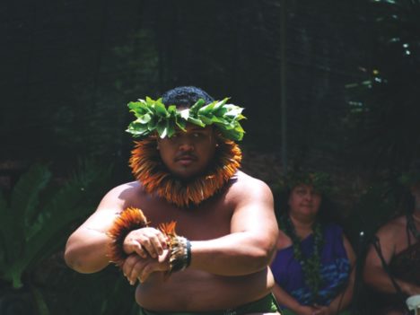 Finding Unity in Hula