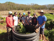 Building a Food Forest