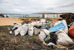 Pandemic Doesn’t Stop Coastline Cleanup Efforts