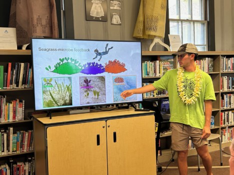 The Power of Seagrass 
