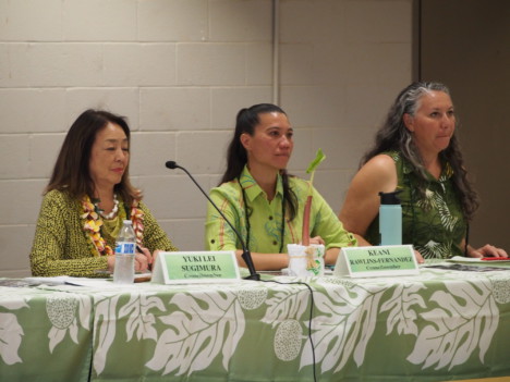 Molokai Breakdown for 2026 County Budget
